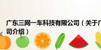 廣東三網一車科技有限公司(關于廣東三網一車科技有限公司介紹)