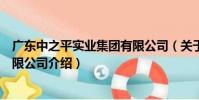 廣東中之平實業集團有限公司(關于廣東中之平實業集團有限公司介紹)