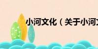 小河文化(關于小河文化簡介)
