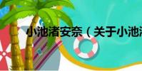 小池渚安奈(關于小池渚安奈簡介)