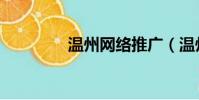 溫州網絡推廣(溫州網通)