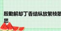 殷勤解卻丁香結縱放繁枝散誕春這句話什么意思