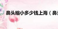 鼻頭縮小多少錢上海(鼻頭縮小多少錢)