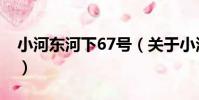 小河東河下67號(關于小河東河下67號簡介)