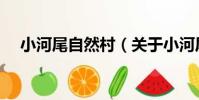 小河尾自然村(關于小河尾自然村簡介)