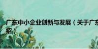 廣東中小企業創新與發展(關于廣東中小企業創新與發展介紹)