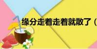 緣分走著走著就散了(緣分走散)
