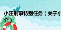 小汪刑事特別任務(關于小汪刑事特別任務簡介)