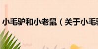 小毛驢和小老鼠(關于小毛驢和小老鼠簡介)