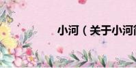 小河(關于小河簡介)