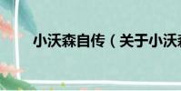 小沃森自傳(關于小沃森自傳簡介)