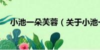 小池一朵芙蓉(關于小池一朵芙蓉簡介)