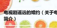 電視劇遙遠的婚約(關于電視劇遙遠的婚約的簡介)
