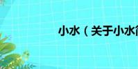 小水(關于小水簡介)