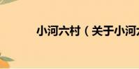 小河六村(關于小河六村簡介)