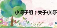 小河子組(關于小河子組簡介)