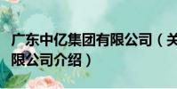 廣東中億集團有限公司(關于廣東中億集團有限公司介紹)