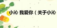 小沁 我愛你(關于小沁 我愛你簡介)