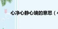 心凈心靜心境的意思(心境的意思)