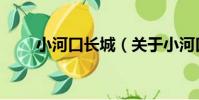 小河口長城(關于小河口長城簡介)
