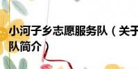 小河子鄉志愿服務隊(關于小河子鄉志愿服務隊簡介)