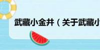武藏小金井(關于武藏小金井的簡介)