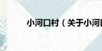 小河口村(關于小河口村簡介)
