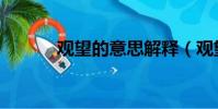 觀望的意思解釋(觀望的意思)