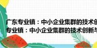 廣東專業鎮:中小企業集群的技術創新與生態化(關于廣東專業鎮:中小企業集群的技術創新與生態化介紹)