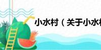 小水村(關于小水村簡介)