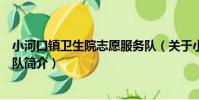 小河口鎮衛生院志愿服務隊(關于小河口鎮衛生院志愿服務隊簡介)