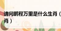 請問鵬程萬里是什么生肖(鵬程萬里是什么生肖)