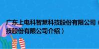 廣東上電科智慧科技股份有限公司(關于廣東上電科智慧科技股份有限公司介紹)