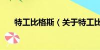 特工比格斯(關于特工比格斯的簡介)