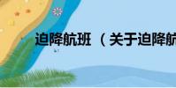 迫降航班 (關于迫降航班 的簡介)