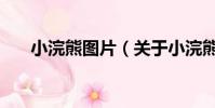 小浣熊圖片(關于小浣熊圖片的簡介)