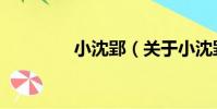 小沈郢(關于小沈郢簡介)