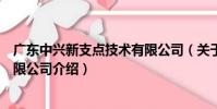 廣東中興新支點技術有限公司(關于廣東中興新支點技術有限公司介紹)