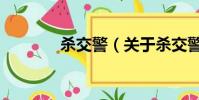 殺交警(關于殺交警的簡介)