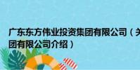 廣東東方偉業投資集團有限公司(關于廣東東方偉業投資集團有限公司介紹)