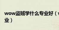 wow盜賊學什么專業好(wow盜賊學什么專業)