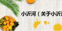小沂河(關于小沂河簡介)