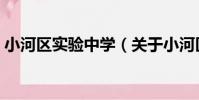小河區實驗中學(關于小河區實驗中學簡介)