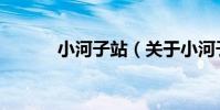小河子站(關于小河子站簡介)