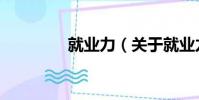就業力(關于就業力簡介)