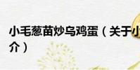 小毛蔥苗炒烏雞蛋(關于小毛蔥苗炒烏雞蛋簡介)