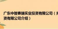 廣東中智泰瑞實業投資有限公司(關于廣東中智泰瑞實業投資有限公司介紹)