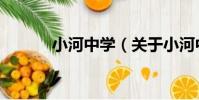小河中學(關于小河中學簡介)