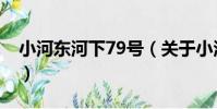 小河東河下79號(關于小河東河下79號簡介)