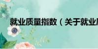 就業質量指數(關于就業質量指數簡介)